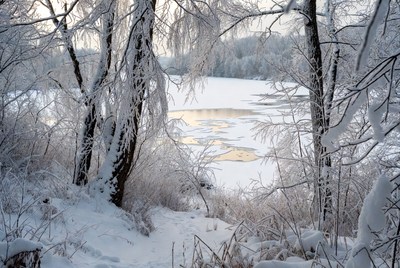 Winter scene by the frozen lake