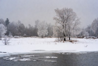 Winter tranquility by the river