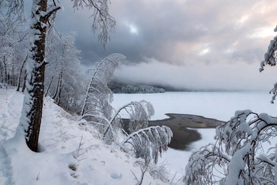 Winter landscape with snow-covered trees
