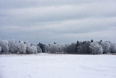 Winter landscape with frosty trees