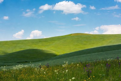 Vast green hills on a bright day