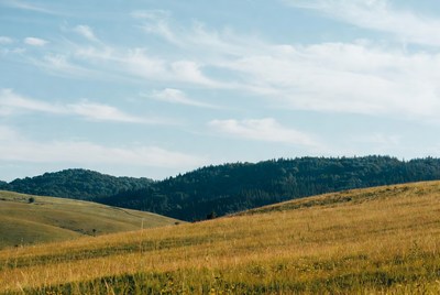 Rolling hills beneath clear skies