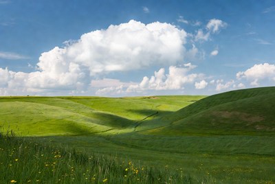 Rolling green hills under a blue sky