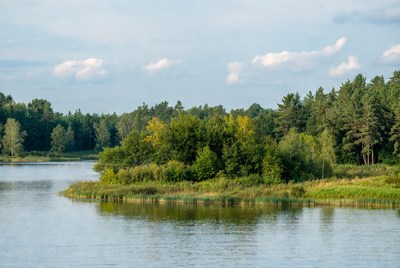 Serene lake surrounded by lush trees