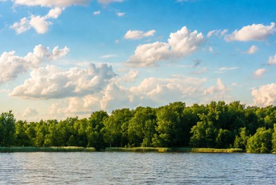 Peaceful lakeside view on sunny day