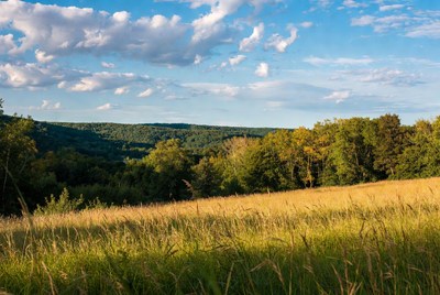 Vibrant landscape under blue sky