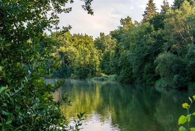 Tranquil river in lush green landscape