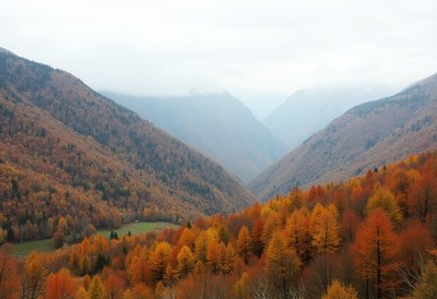 Autumn valley with colorful trees