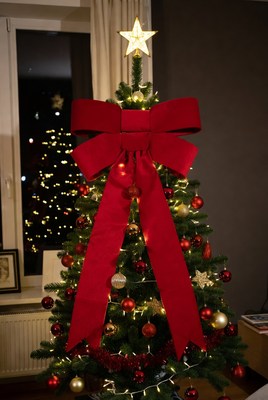 Christmas tree with red decorations