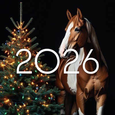 Horse beside a holiday tree