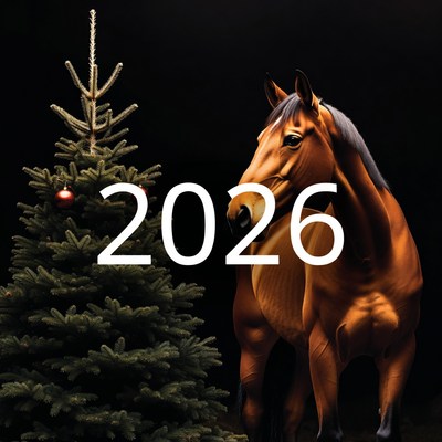Horse beside christmas tree in 2026