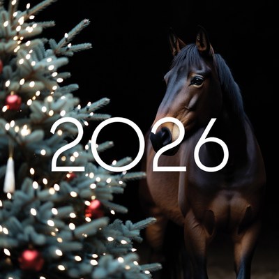 Brown horse near christmas tree