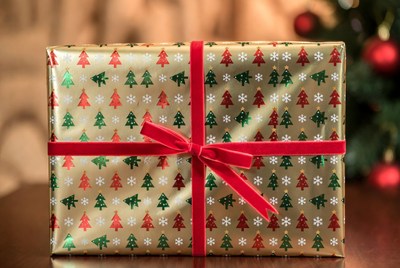 Festively wrapped christmas gift