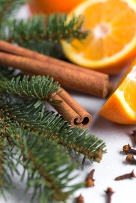 Spices and citrus for winter decor