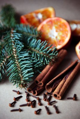 Spices and fruits in holiday arrangement