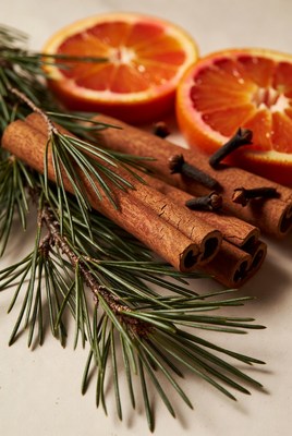 Winter spices and citrus decoration
