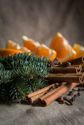 Aromatic spices and orange slices