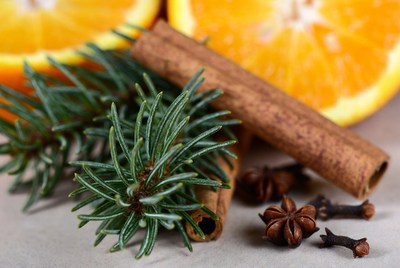 Cinnamon, herbs, and citrus spices