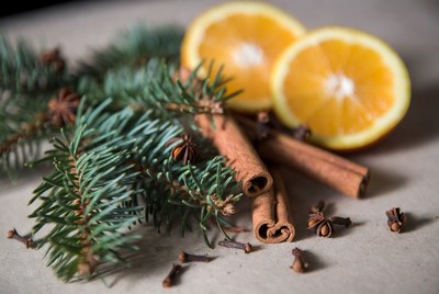 Cinnamon, orange, and pine arrangement
