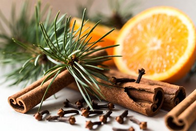 Cinnamon, orange, and pine arrangement
