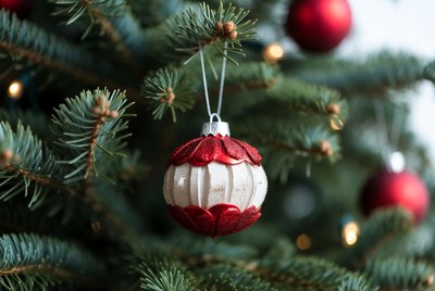 Beautiful christmas ornament decorates tree