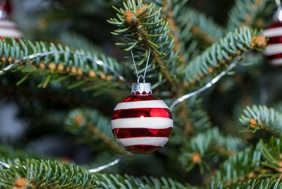 Red and white ornament on tree