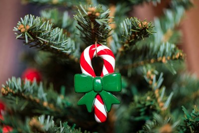 Candy cane ornament on christmas tree