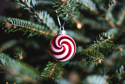 Colorful ornament hanging on tree