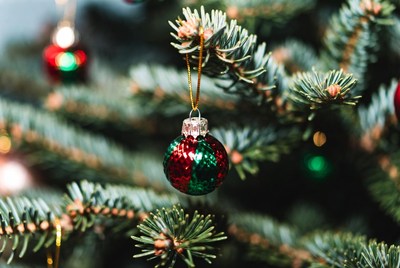 Decorative christmas ornament on tree