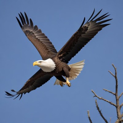 Eagle soaring in clear blue sky