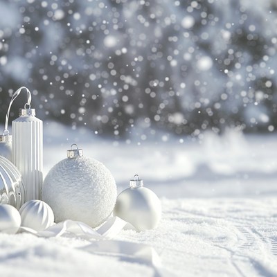 Winter decorations in soft snowfall
