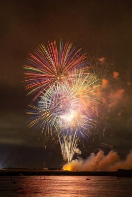 Colorful fireworks illuminate night sky