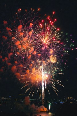 Colorful fireworks burst in night sky