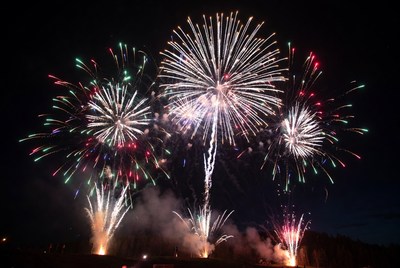 Colorful fireworks display at night