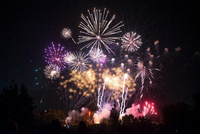 Colorful fireworks light up night sky
