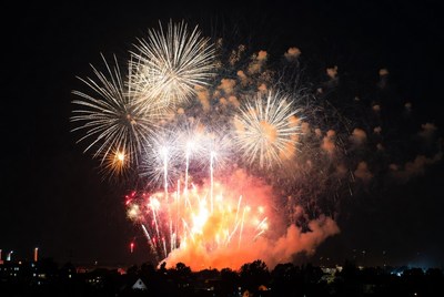 Colorful fireworks light up night sky