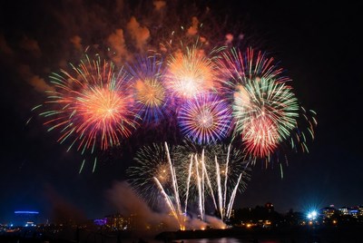 Colorful fireworks light up night sky