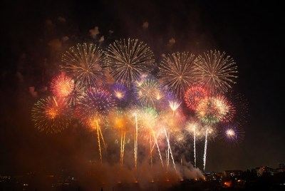Fireworks light up night sky