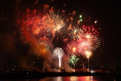 Fireworks light up night sky