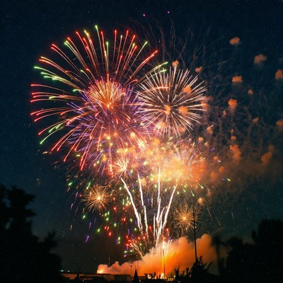 Vibrant fireworks celebration at night
