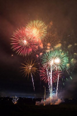 Colorful fireworks light up the night