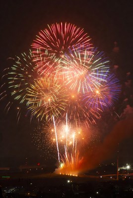 Colorful fireworks fill the night sky