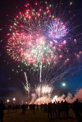 Colorful fireworks light up night sky