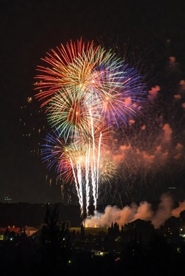 Colorful fireworks display at night