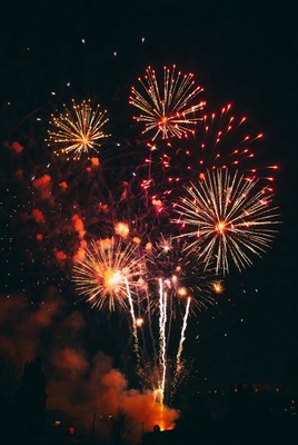 Colorful fireworks lighting up night sky