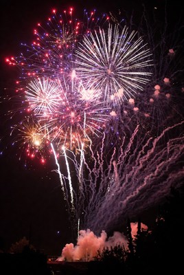 Fireworks light up the night sky