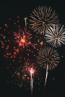 Colorful fireworks light up the sky