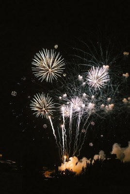 Bright fireworks light up the night sky