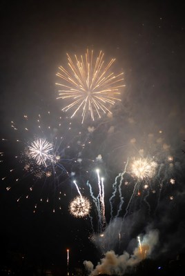 Sparkling night sky celebration