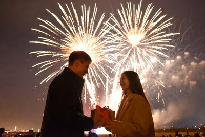 Couple celebrating with fireworks display